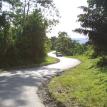 The Road home