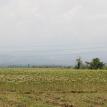 land of tabacco - Java