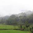 ratepao